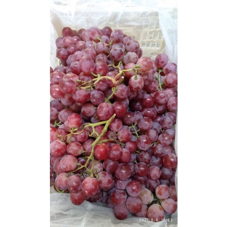 

Anggur Red Globe 1kg