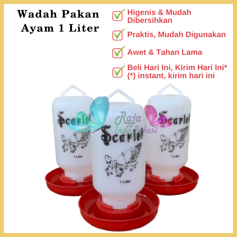 Tempat Makan Ayam Kapasitas 1 Liter 1 Kg SCARLET Wadah Pakan Ayam Anti Tumpah Ransum Wadah Makan Ayam Anakan Plastik 1 Kg - TEMPAT MAKAN AYAM / RANSUM / TRA1K MEDION KAPASITAS 1KG WADAH PAKAN BREEDING TERNAK ANAK AYAM RNS1KG