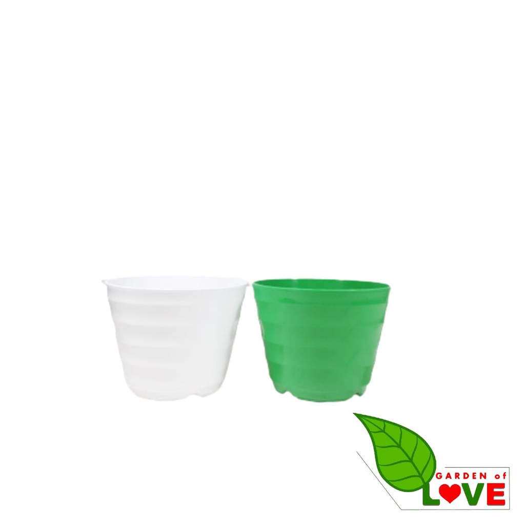 Pot King Mado 12 Putih Warna Warni By Garden Of Love Pot Plastik Kaktus Mini Murah Lucu Mirip Pot Tawon 12