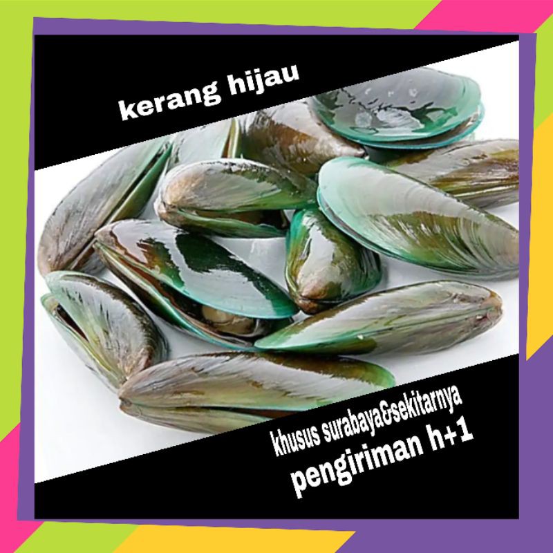 

kerang hijau kerang ijo 1kg || sayur online murah surabaya