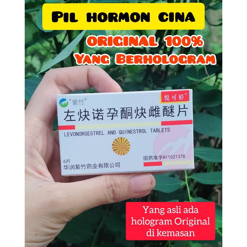 Eceran 1 Butir Pil Hormon Cina Asli Ori 100 Shopee Indonesia