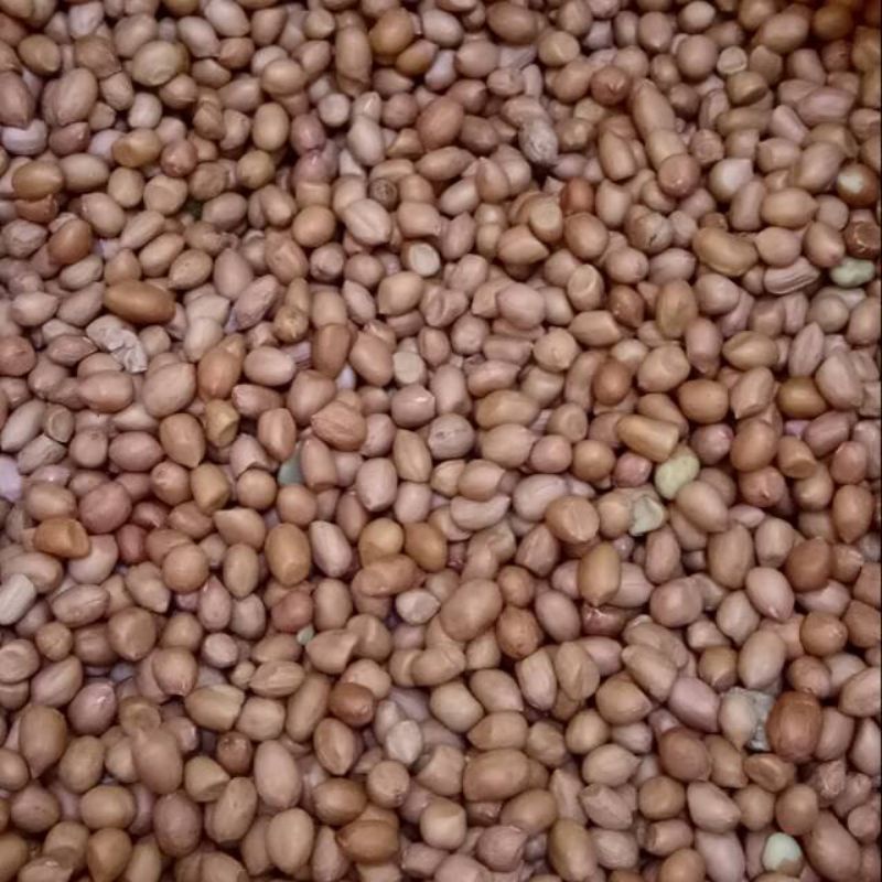 

Kacang Tanah Kemasan 500gr (1/2kg)