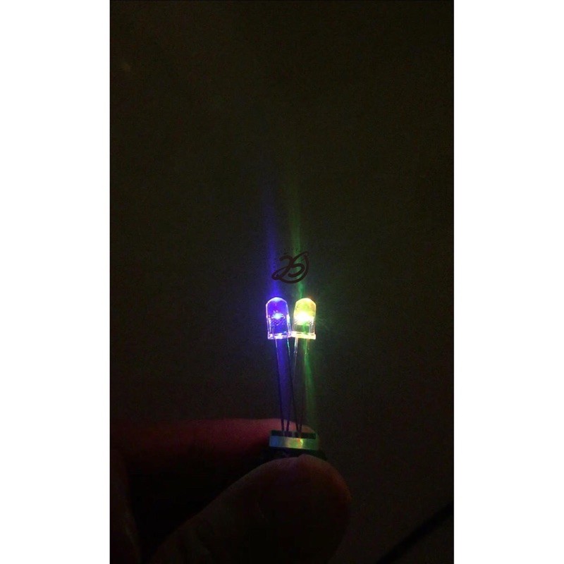 LED RGB 5mm 1000pcs LED LAYANGAN LED FLASHING