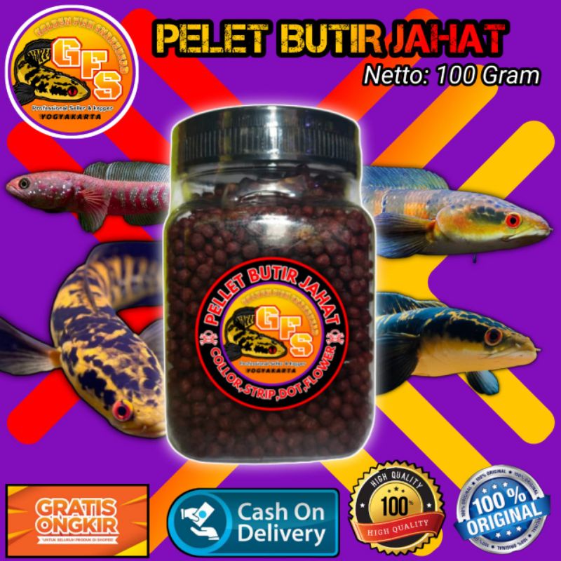 PELET CHANNA MARU PELLET BUTIR JAHAT 100 GRAM