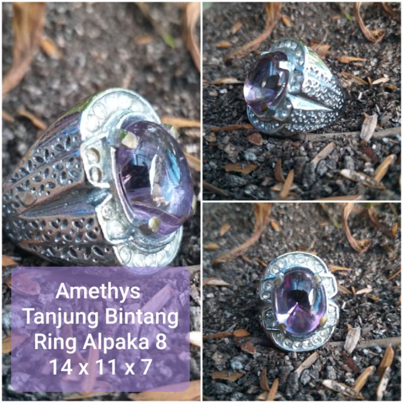 Bungur Tanjung Bintang.