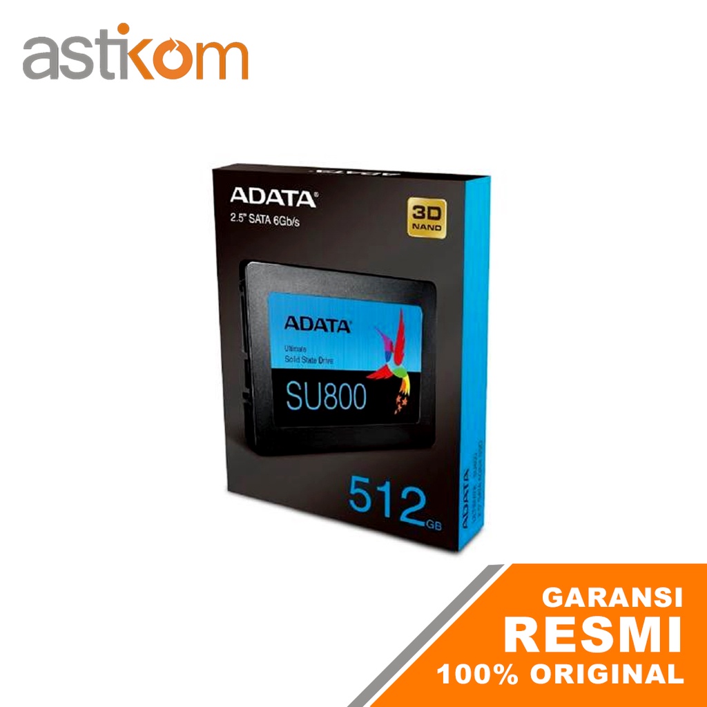 SSD MURAH Adata SU800 512GB | By Astikom