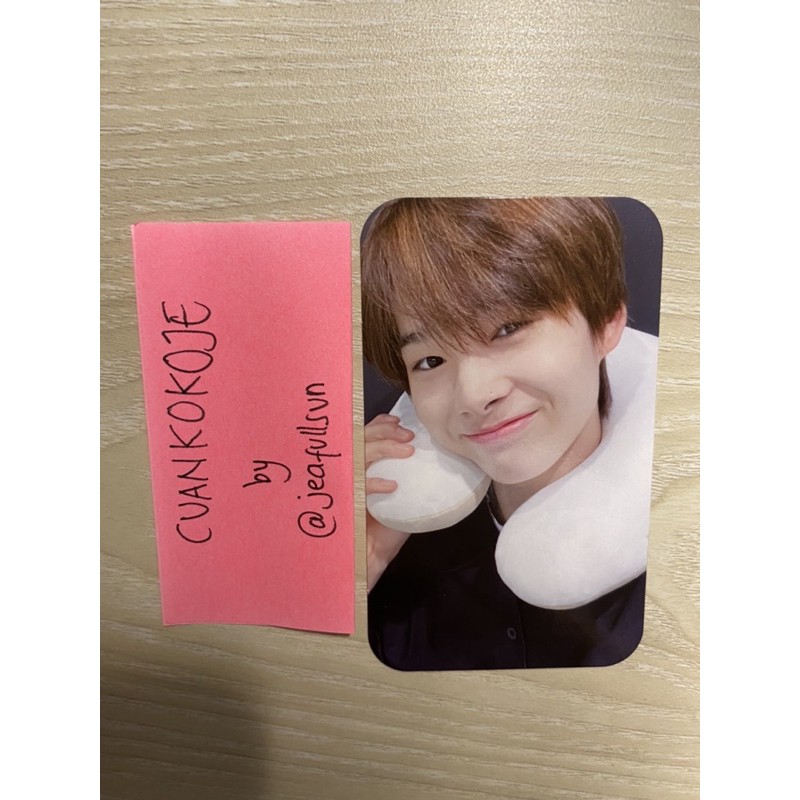 PC NECK PILLOW NiKi ENHYPEN