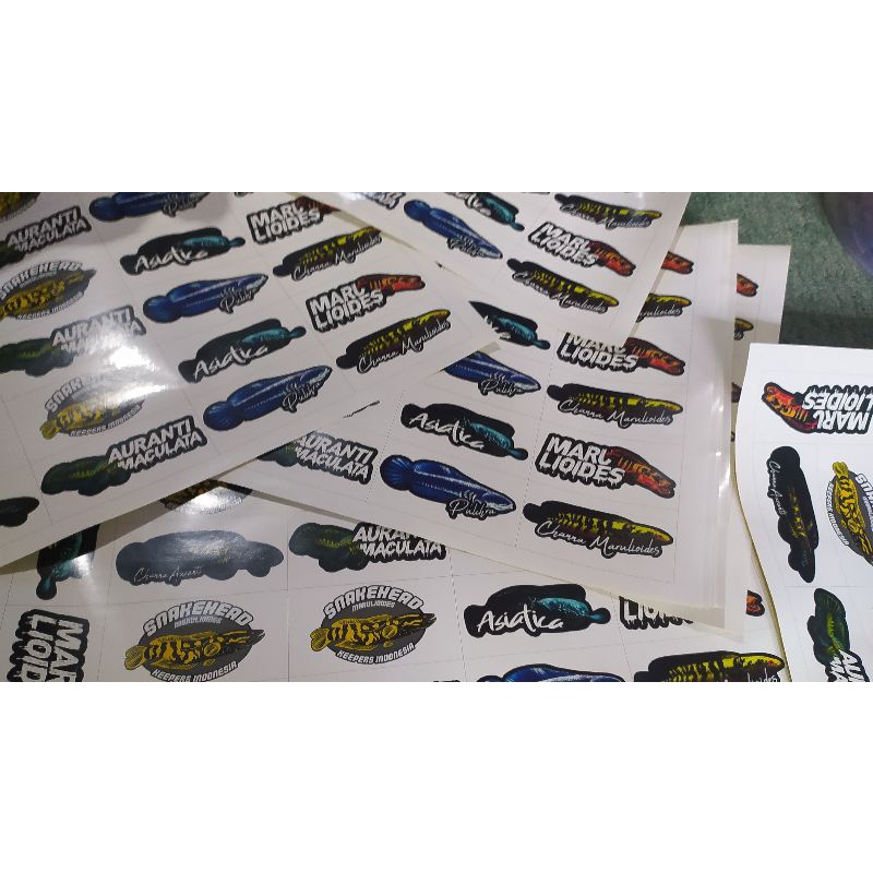 6pcs stiker ikan channa/ stiker aquarium termurah habisin stock!-1