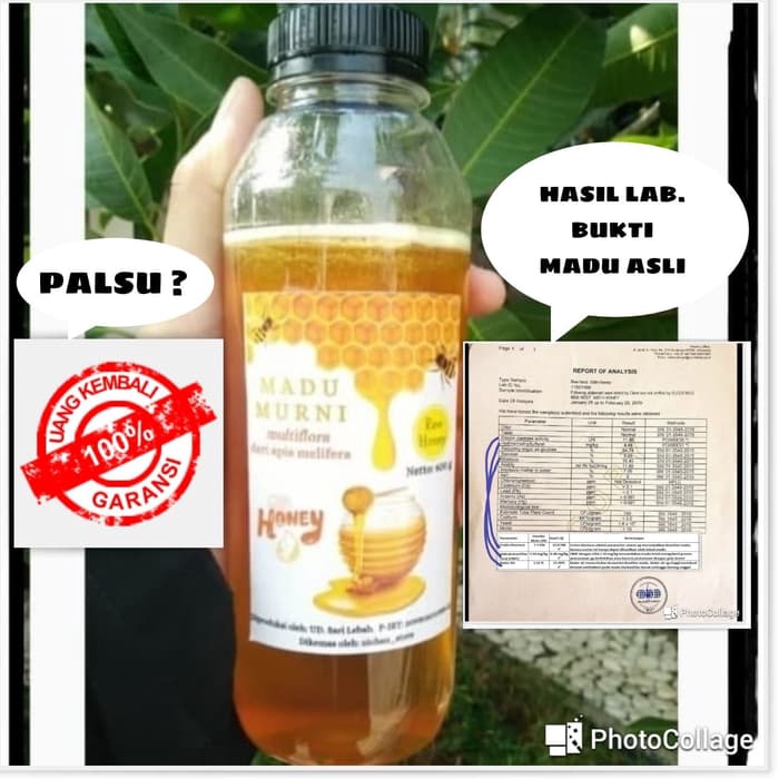 

Madu Asli / Raw Honey 600 Gram Perasan Madu Sarang Melifera