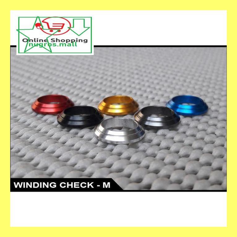 

Apanc8D Winding Check M Pan507C