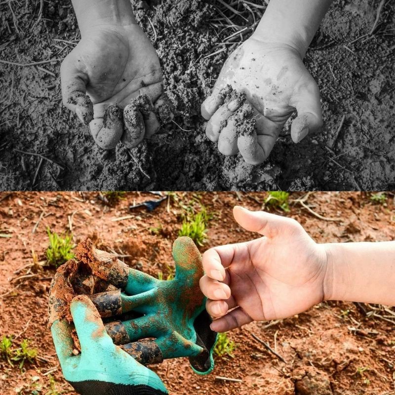 Sarung Tangan Cakar Gali Tanah Berkebun Taman Claw Garden Gloves Box