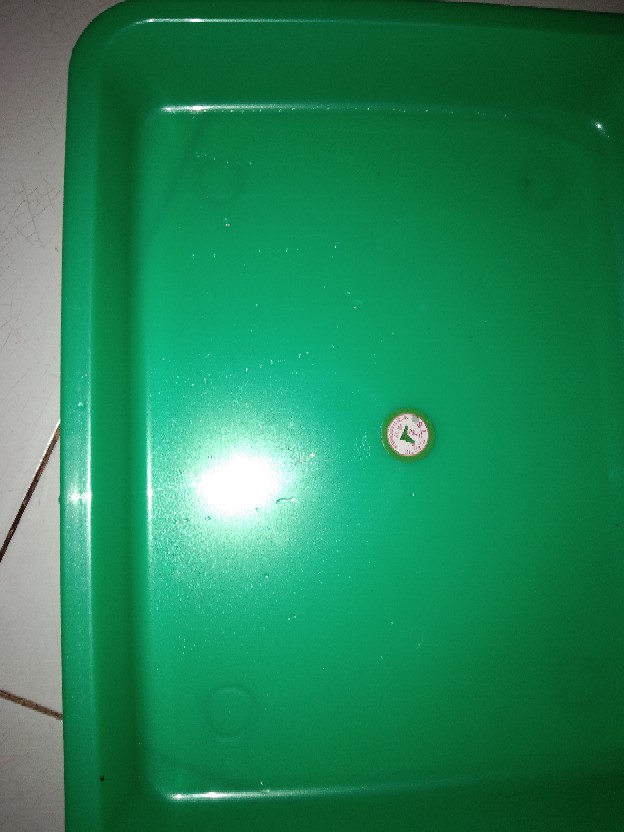 Nampan Besar / Nampan Saji / Nampan Plastik No.3