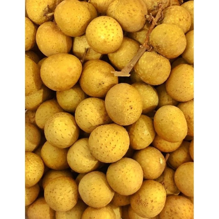 

1 Kg - Kelengkeng Fruit | Buah Kelengkeng