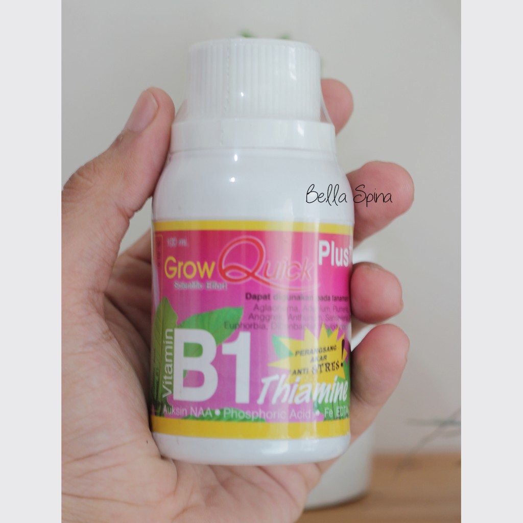(BEST SELLER) Vitamin B1 Antri Stress Perangsang Akar Tanaman (PK-09)