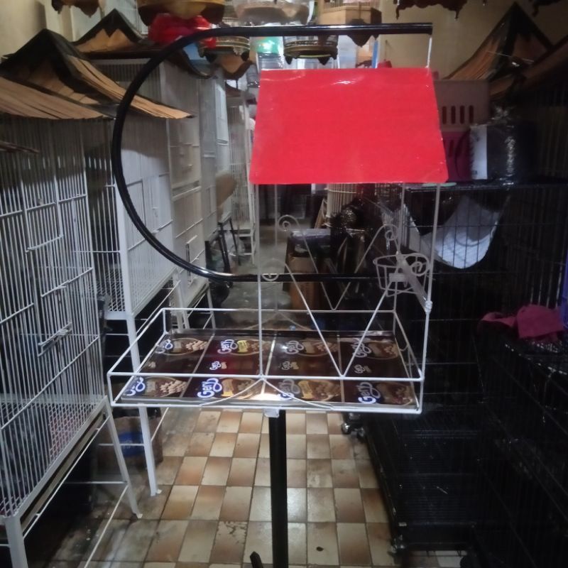 kandang burung Nuri dan Kaka tua