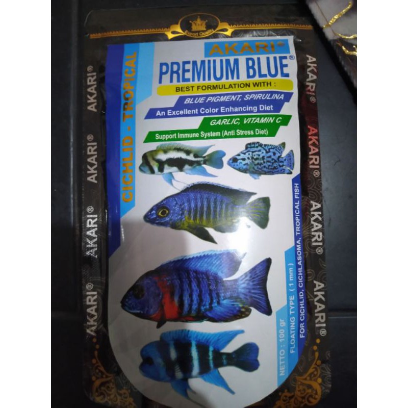 Akari premium blue cichild