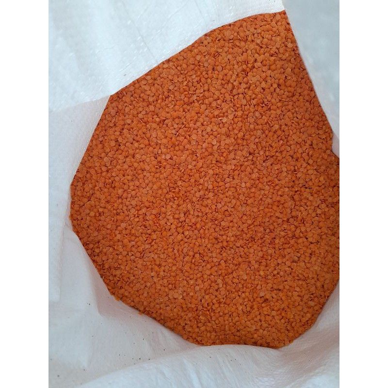 

Kacang Lentil Merah 1 kg