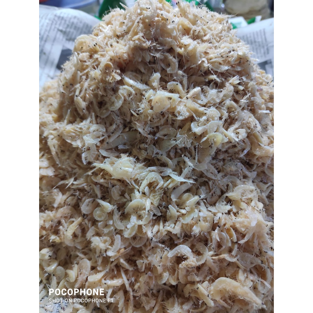 

Udang Rebon | Udang Asin kecil