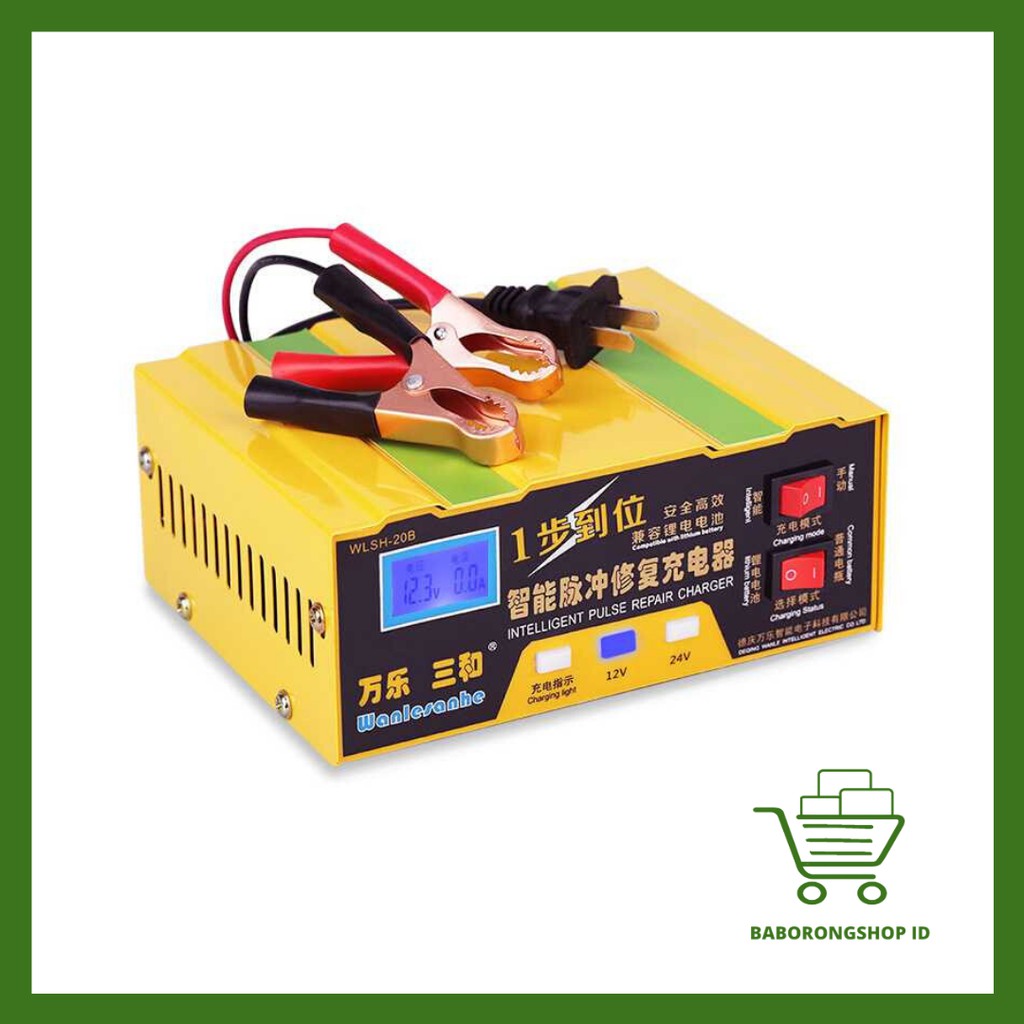 Charger Aki Mobil Lead Acid Accu Motor Smart Battery Charger 12V/24V 6