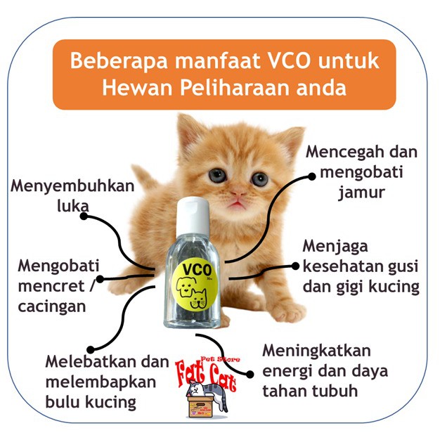 Virgin Coconut Oil 30ml obat jamur kucing VCO