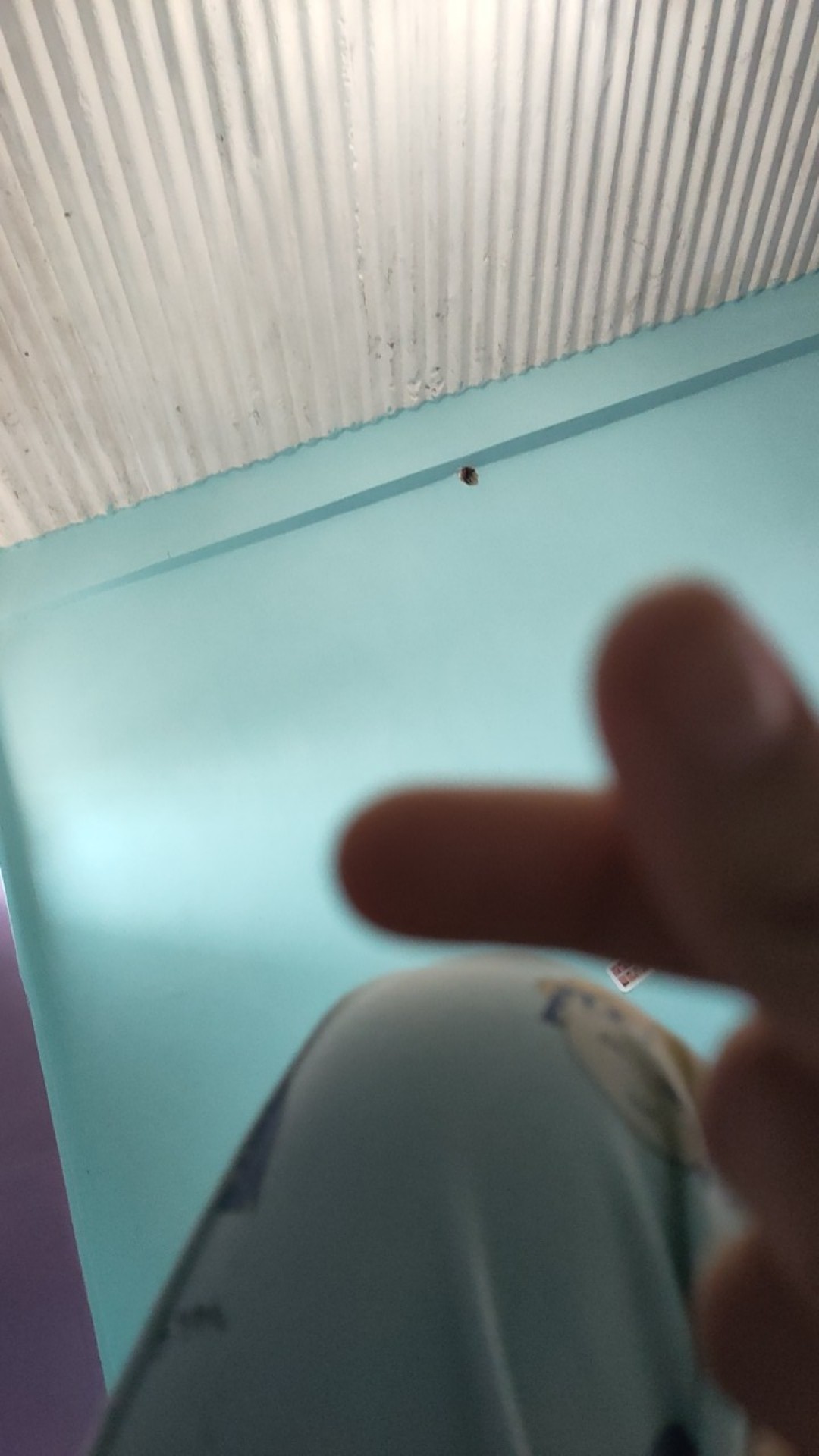 Plastik Olshop 30x40 Cm