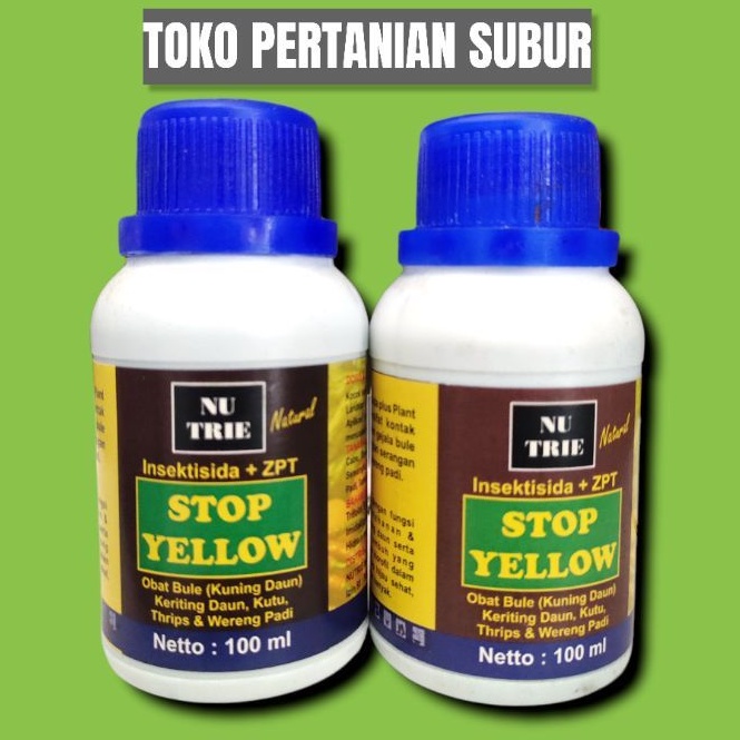 STOP YELLOW - INSEKTISIDA + ZPT 100ml (pencegah bule)