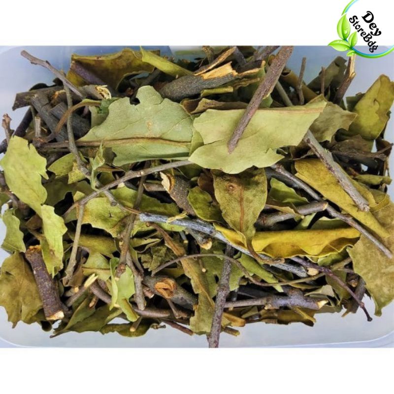 

Benalu teh kering asli