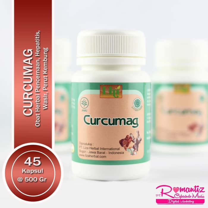 Obat Herbal BPOM Kesehatan Pencernaan Lambung Sakit Maag CURCUMAG Dr.Liza