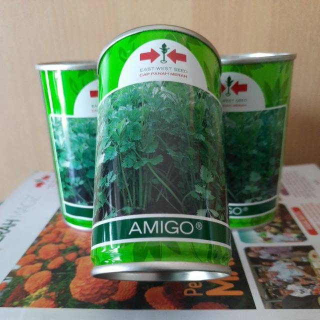 PALING LARIS-Benih Seledri AMIGO isi 50gr (kemasan kaleng)