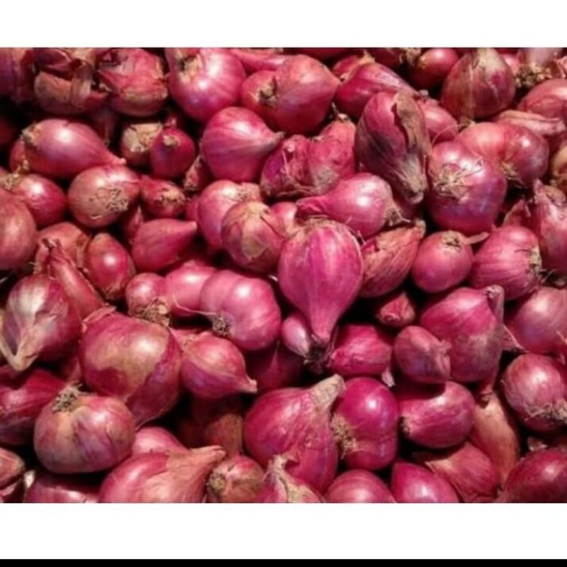 

bawang merah
