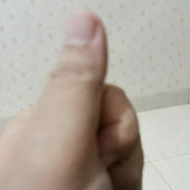 Nagako Food Carrier Rt-1404 Rantang Susun 4 - 14cm