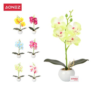 Aonez Bunga hias anggrek  phalaenopsis bunga dekorasi 