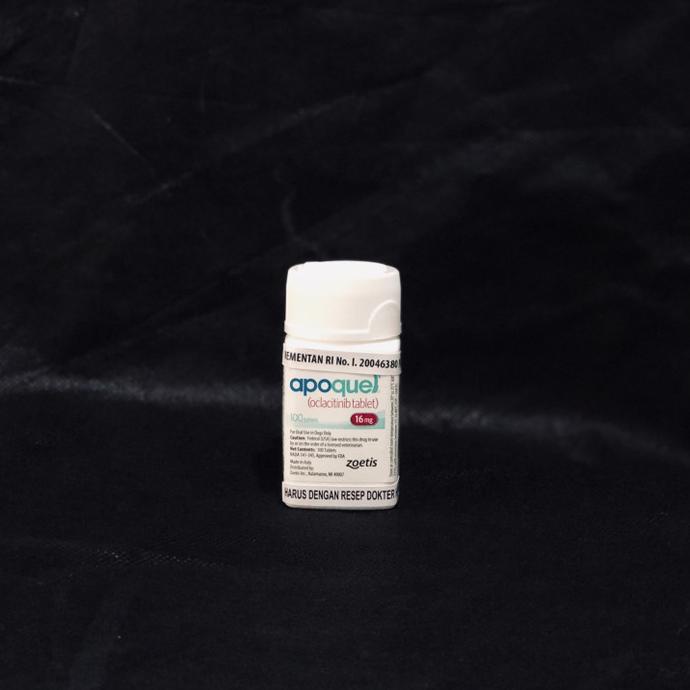 APOQUEL DOG 16 MG (10 TABLET)