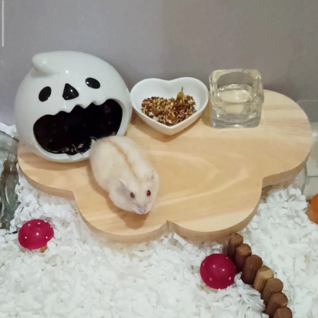 Aksesoris Kandang Mainan Meja Platform Tatakan Kayu Hamster Murah-3