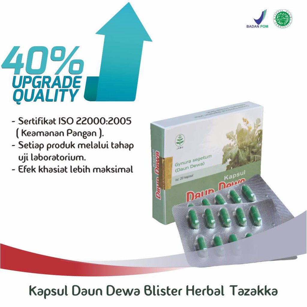 Obat Herbal Stroke Ampuh Penurun Darah Tinggi Ekstrak Daun Dewa Tazakka Original 20 Kapsul Blister.