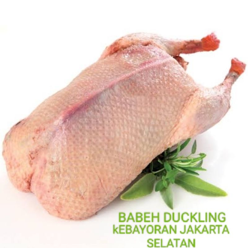 

Bebek mentok segar/beku super