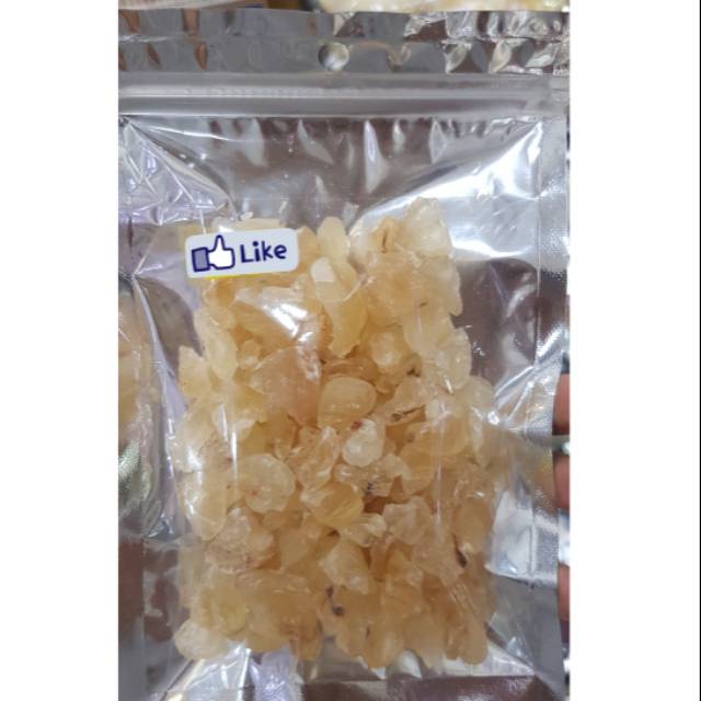 

Snow Bird Nest / Tragacanth Gum 100gr