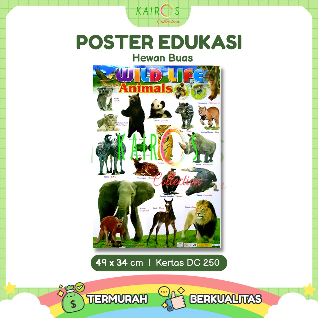 Poster Edukasi Anak Belajar Binatang Buas