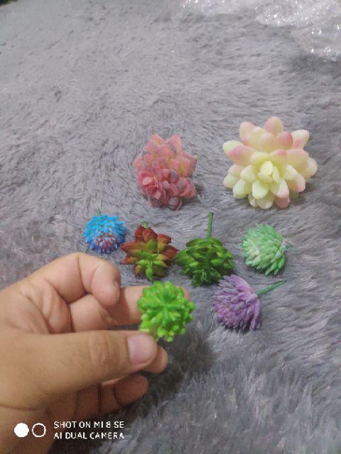 Hiasan Kaktus Palsu, Seculen Artifisial, Kaktus Imitasi