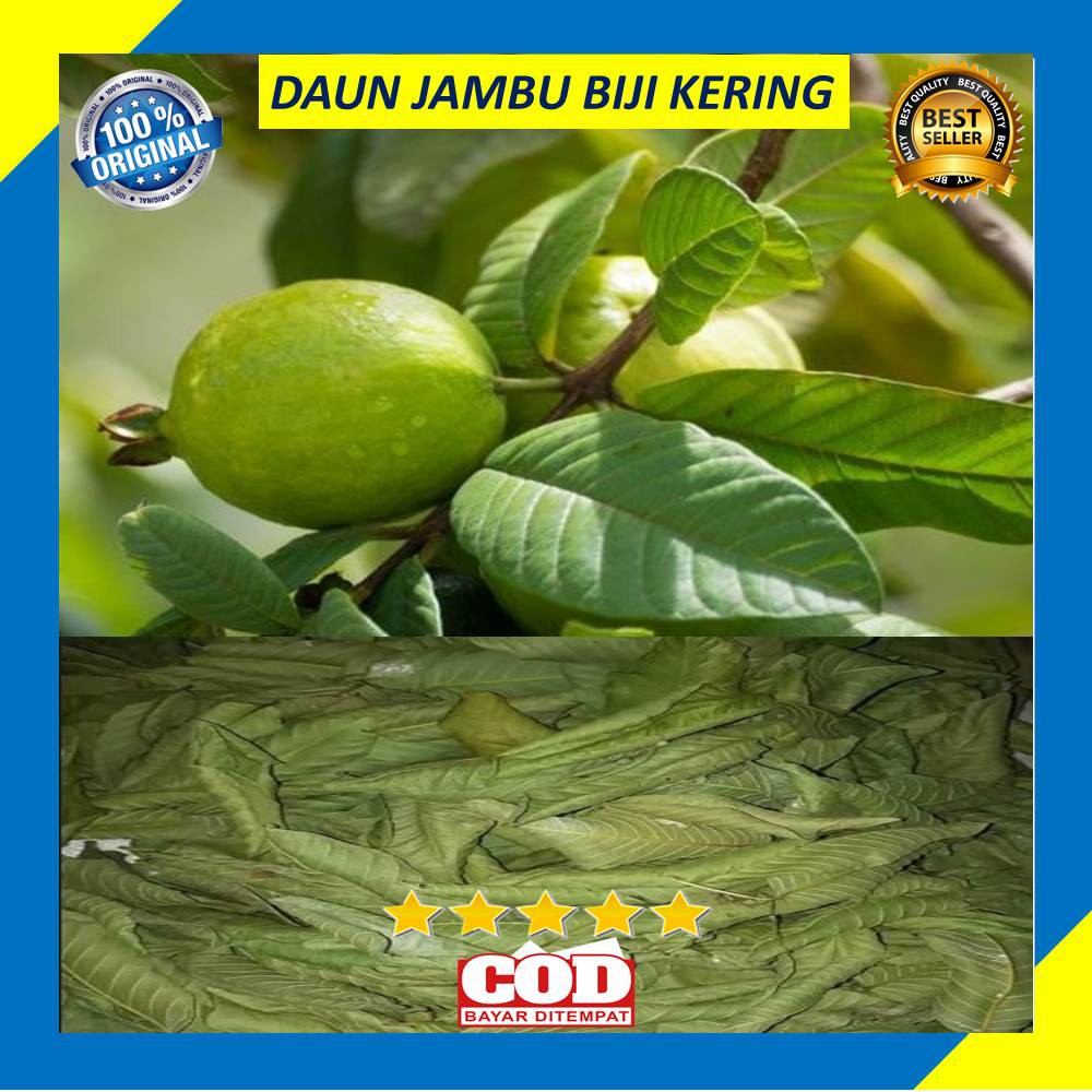 Daun Jambu Biji Klutuk Kering 200 Gram