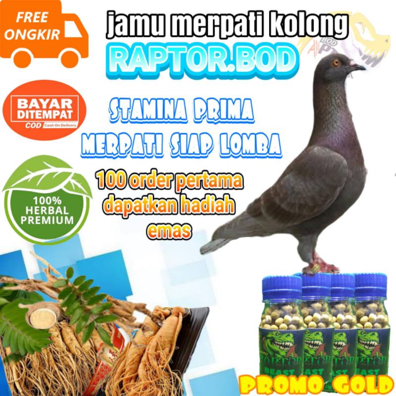 jamu merpati kolong raptor bod isi 300 BUTIR (100 pertama dapet emas)