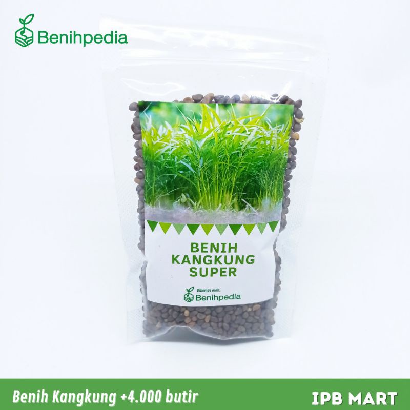 [4.000 butir] Benih/bibit Tanaman Sayuran Kangkung-1