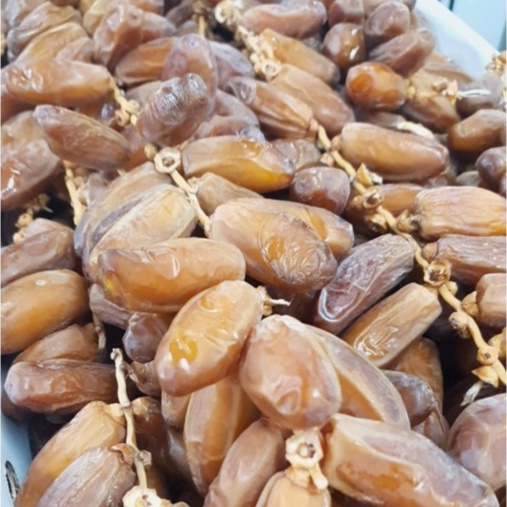 

kurma tunisia tangkai 5kg