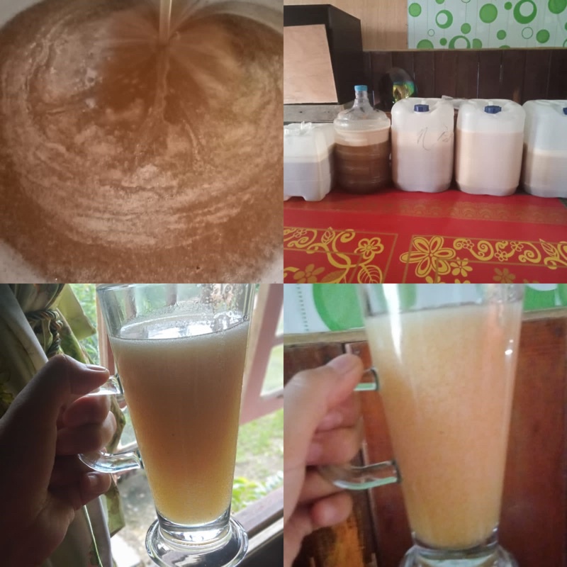

Madu hutan liar