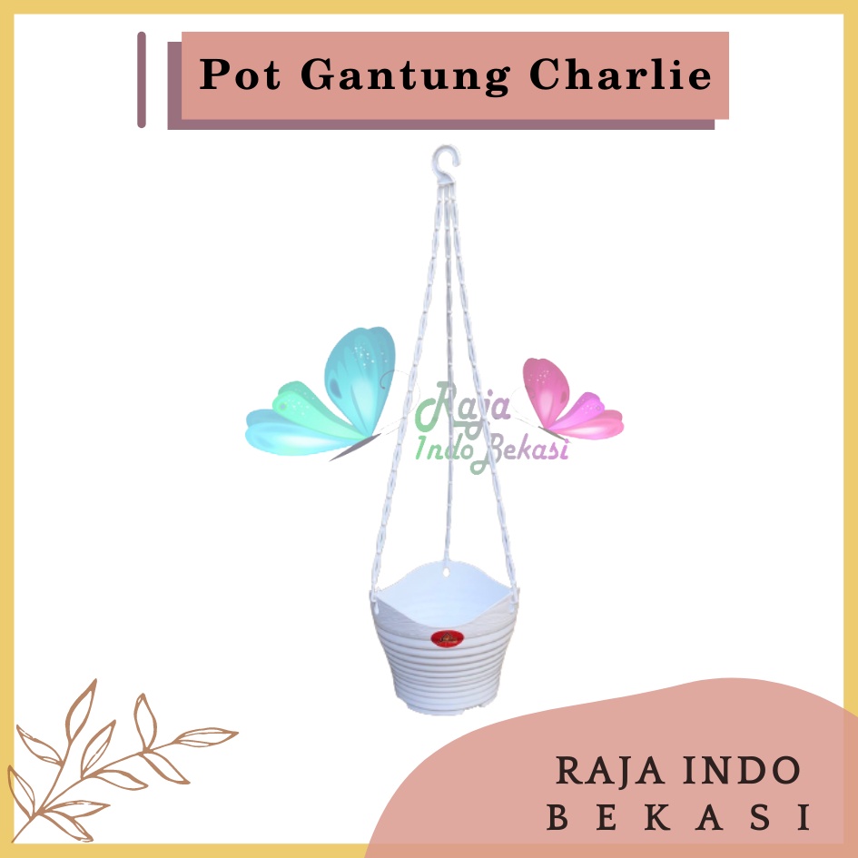 Pot Bunga Gantung Alexish 116 Baby Charlie 20 Putih Mirip Pot Gantung Gentong Lovenia Pot Gantung Putih Anggrek Murah Unik Tinggi Lion star