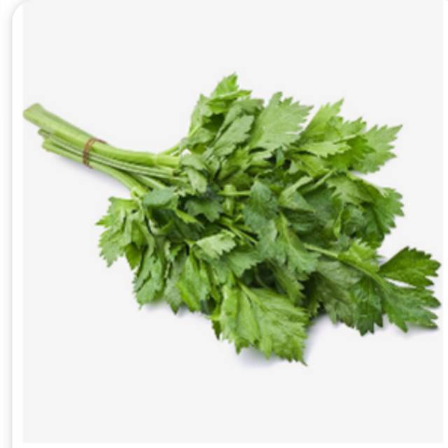

Daun seledri 100gr