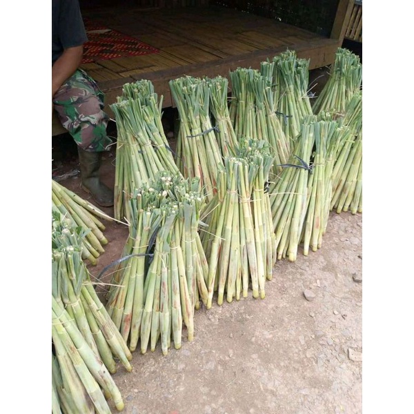 

telur tebu 1 kg- terubuk / kembang tiwu 1 kg