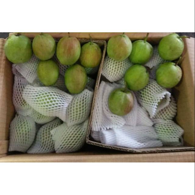 

Pear Xianglie