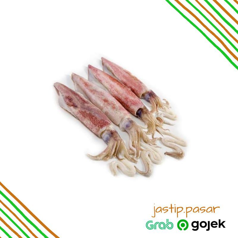 

Cumi Ukuran Sedang 500g | ikan Fresh | jastip.pasarsby