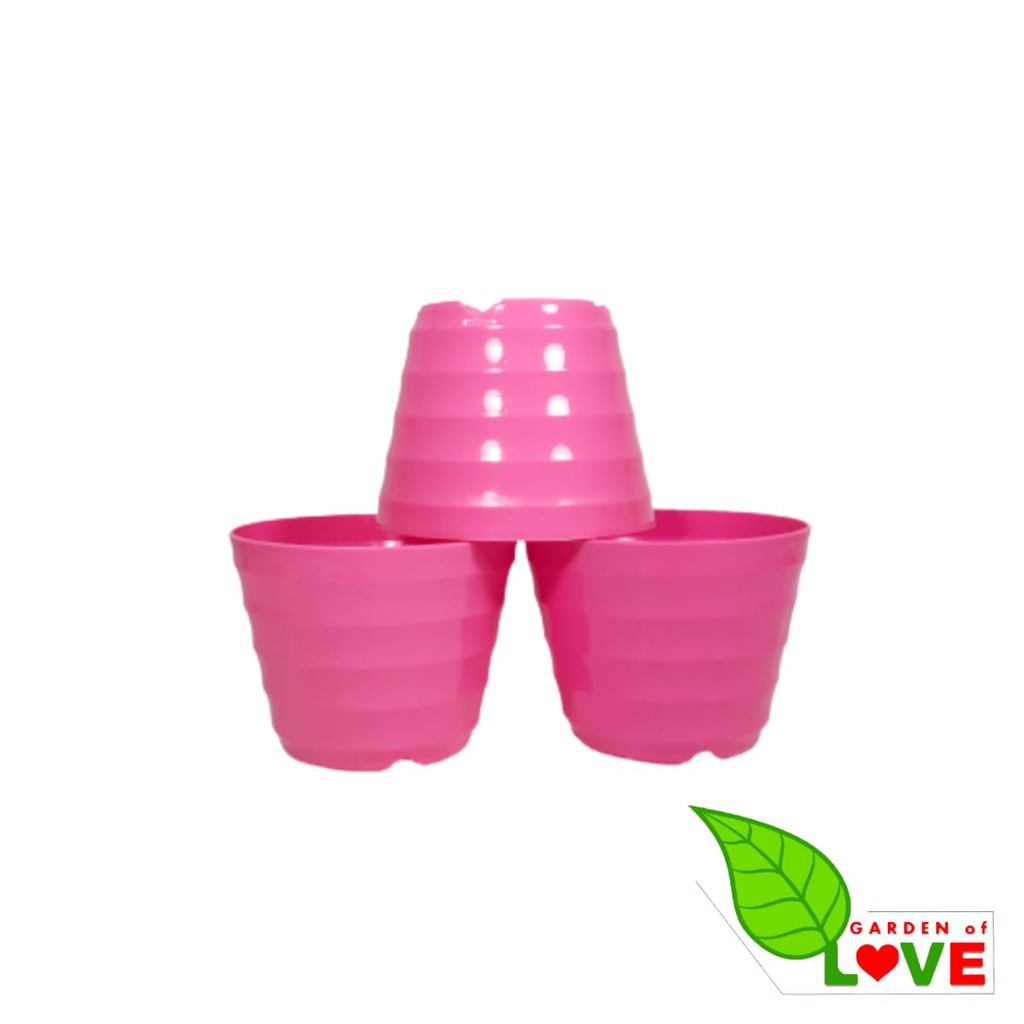 Pot King Mado 12 Putih Warna Warni By Garden Of Love Pot Plastik Kaktus Mini Murah Lucu Mirip Pot Tawon 12